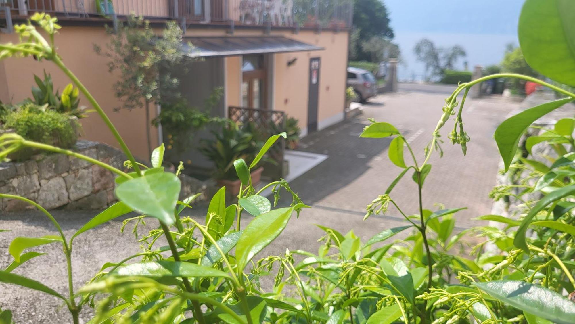 Residence Villa Margherita Brenzone sul Garda Luaran gambar