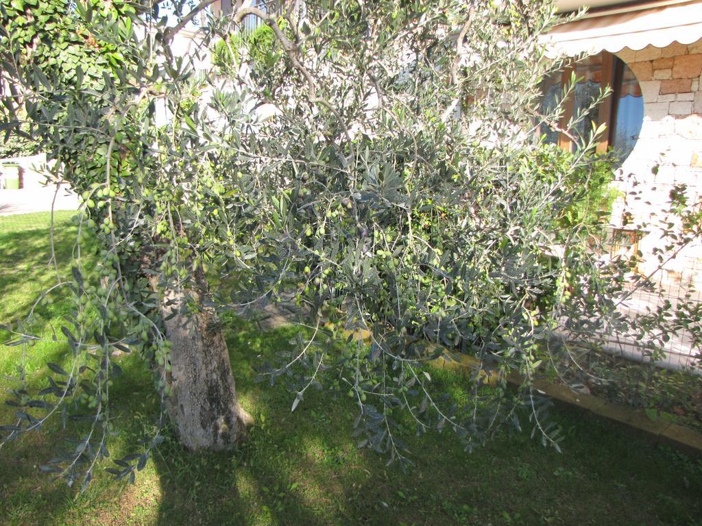 Residence Villa Margherita Brenzone sul Garda Luaran gambar